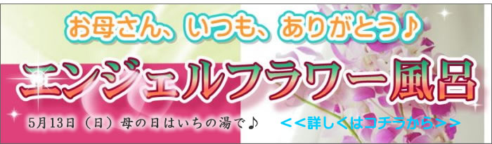 母の日エンジェルフラワー